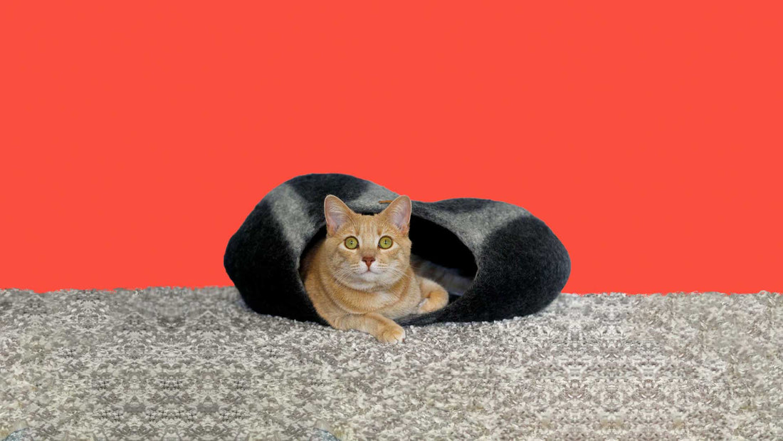 Why Your Cat Deserves a Cat Cave